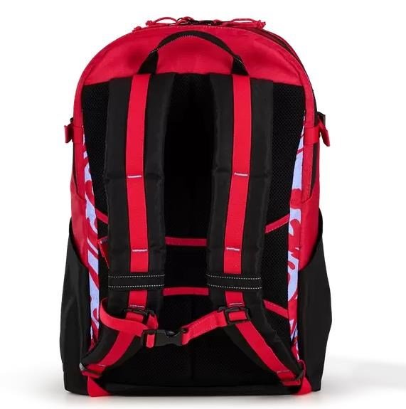 Ogio Alpha 20L backpack melting geos bag