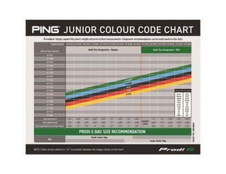 PING Prodi G Tyne H junior putter