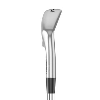 Mizuno JPX 925 Hot Metal Pro men's irons, steel