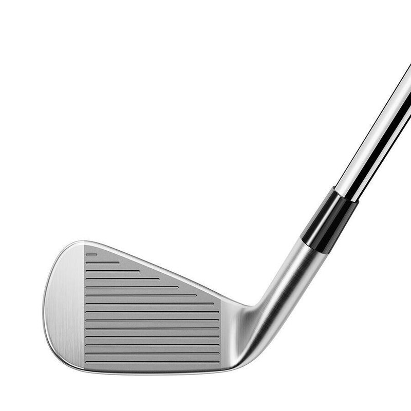TaylorMade P770 men's irons, steel