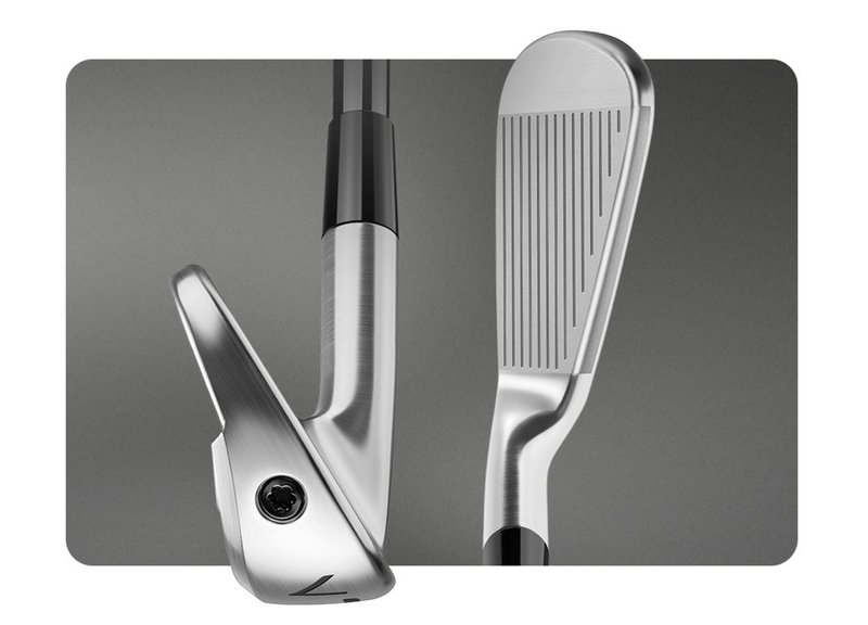 TaylorMade P770 men's irons, steel