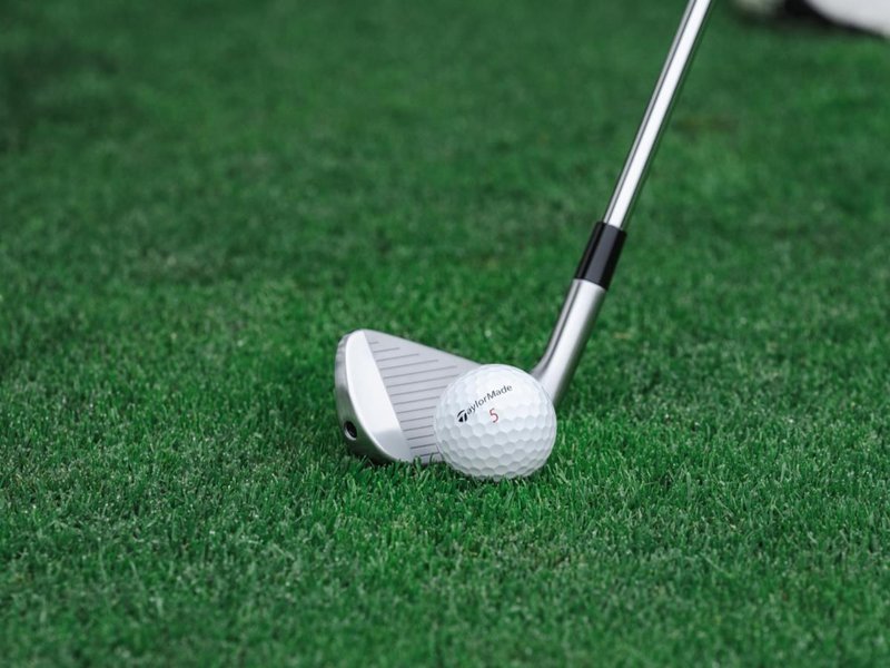 TaylorMade P770 men's irons, steel