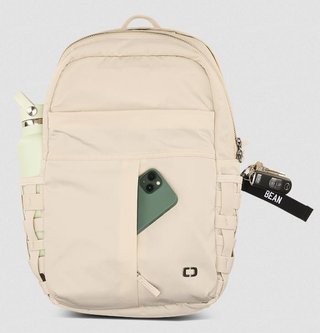 Ogio Rise Backpack 20L frost bag