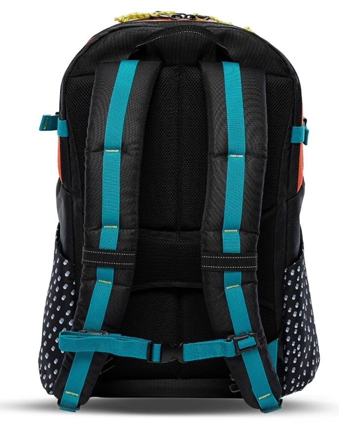 Ogio Alpha 20L Backpack bag