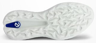 Ecco Biom H5 mens golf shoes, white