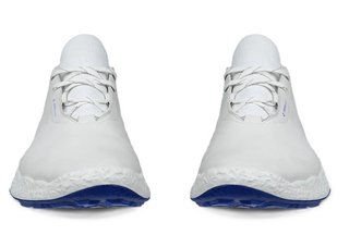 Ecco Biom H5 mens golf shoes, white