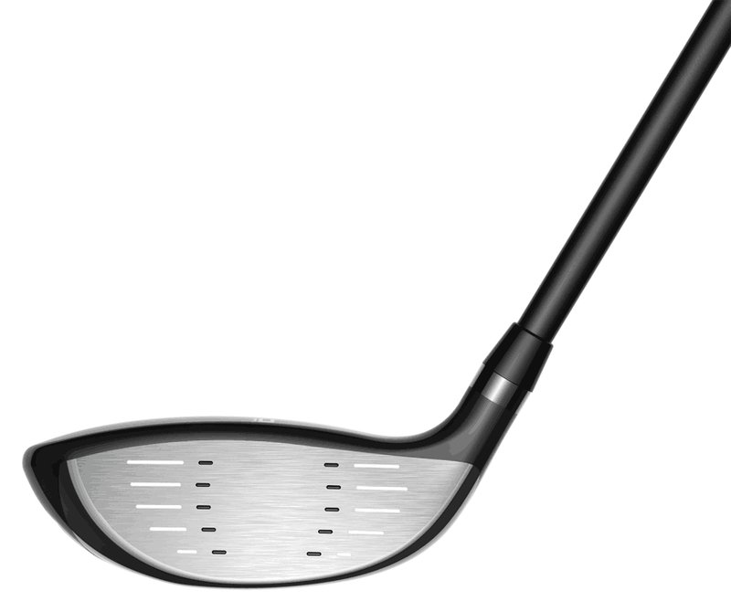 Cobra Fly-XL 2 Black Gold men's golf set, graphite, + cart bag