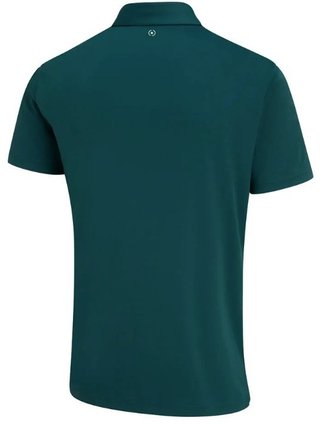 PING Hall mens polo, forest/misty green