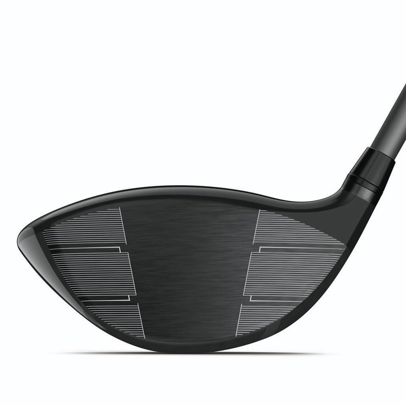 Wilson Dynapower Max Lite ladies driver