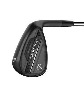 Wilson Infinite Wedge, steel