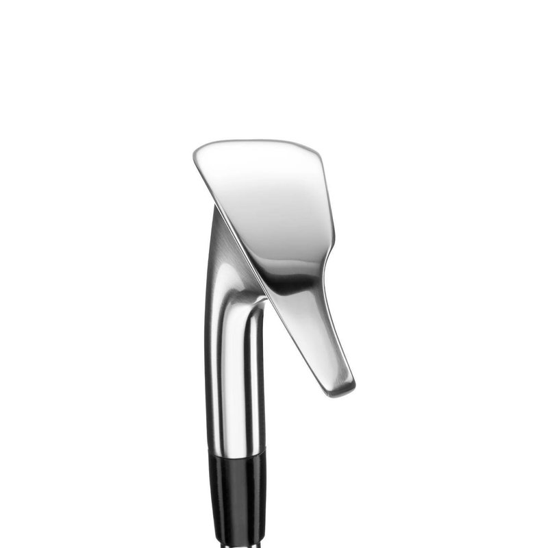 Mizuno MX SpeedMetal men's irons, steel (+0.5IN)