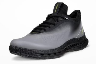 Ecco Biom C5 mens golf shoes, steel