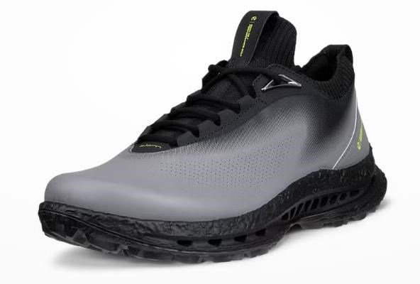 Ecco Biom C5 mens golf shoes, steel