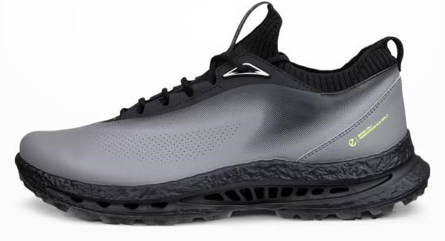Ecco Biom C5 mens golf shoes, steel