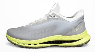 Ecco Biom C5 mens golf shoes, wild dove