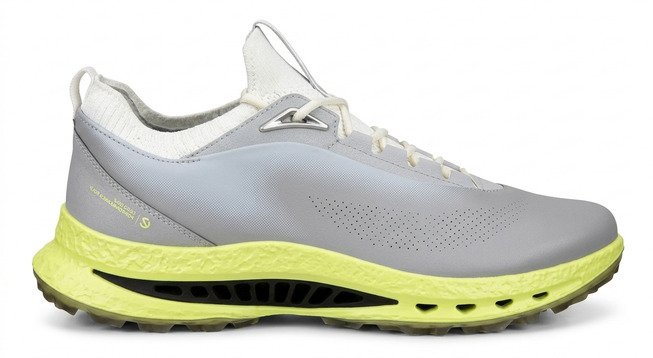 Ecco Biom C5 mens golf shoes, wild dove