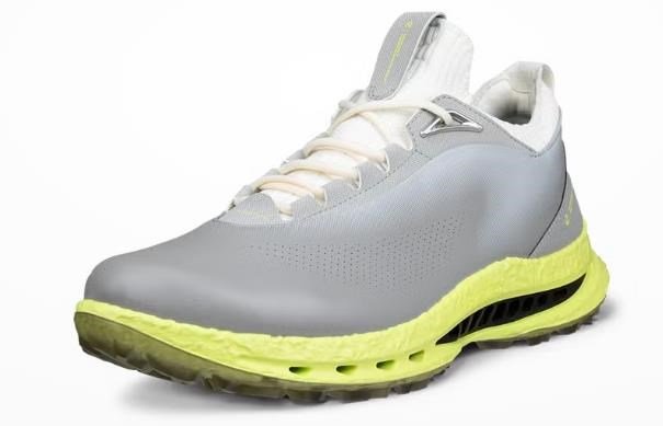 Ecco Biom C5 mens golf shoes, wild dove