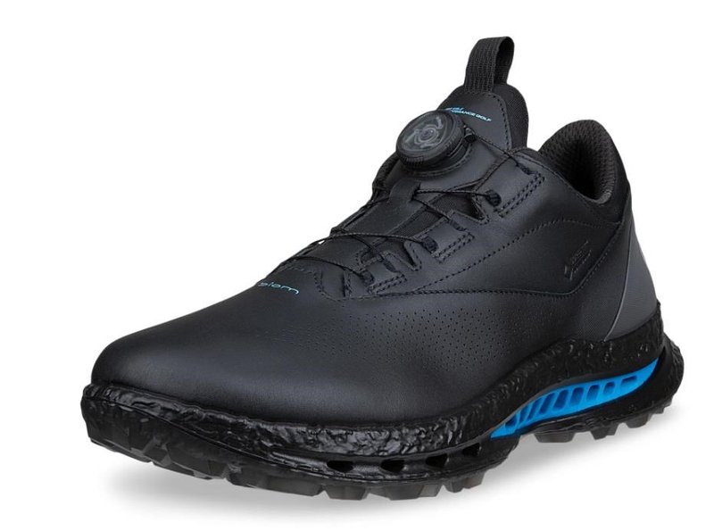 Ecco Biom C5 BOA mens golf shoes, black