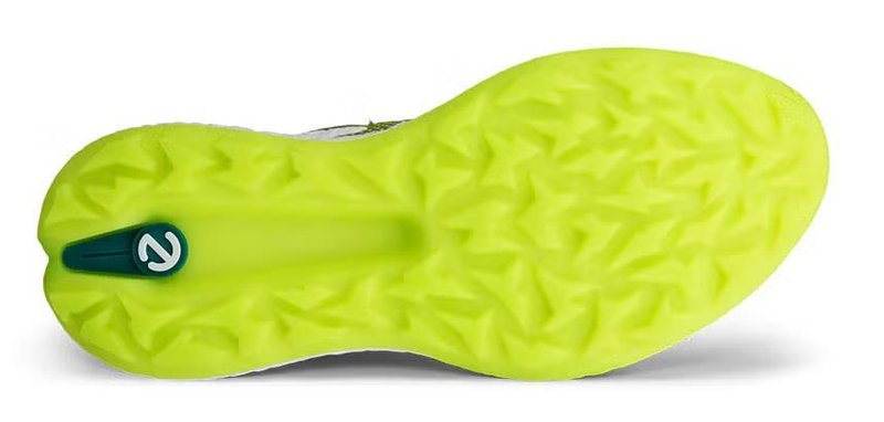 Ecco Ecco Biom H5 mens golf shoes, green