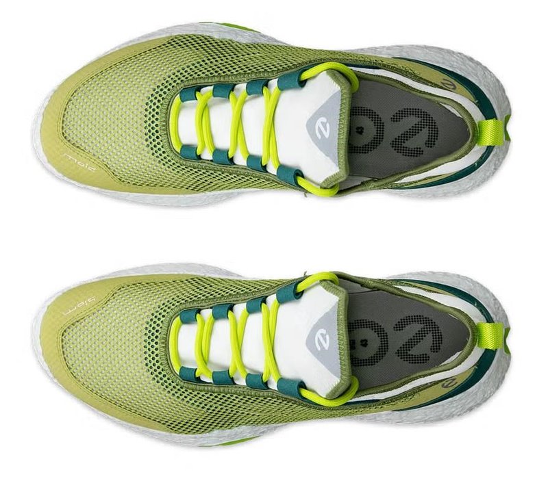 Ecco Ecco Biom H5 mens golf shoes, green