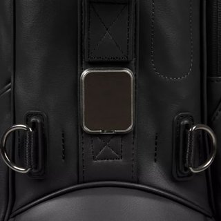 Titleist Linkslegend Members stand bag, black