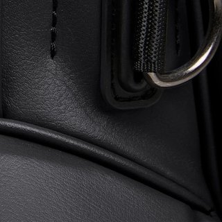 Titleist Linkslegend Members stand bag, black
