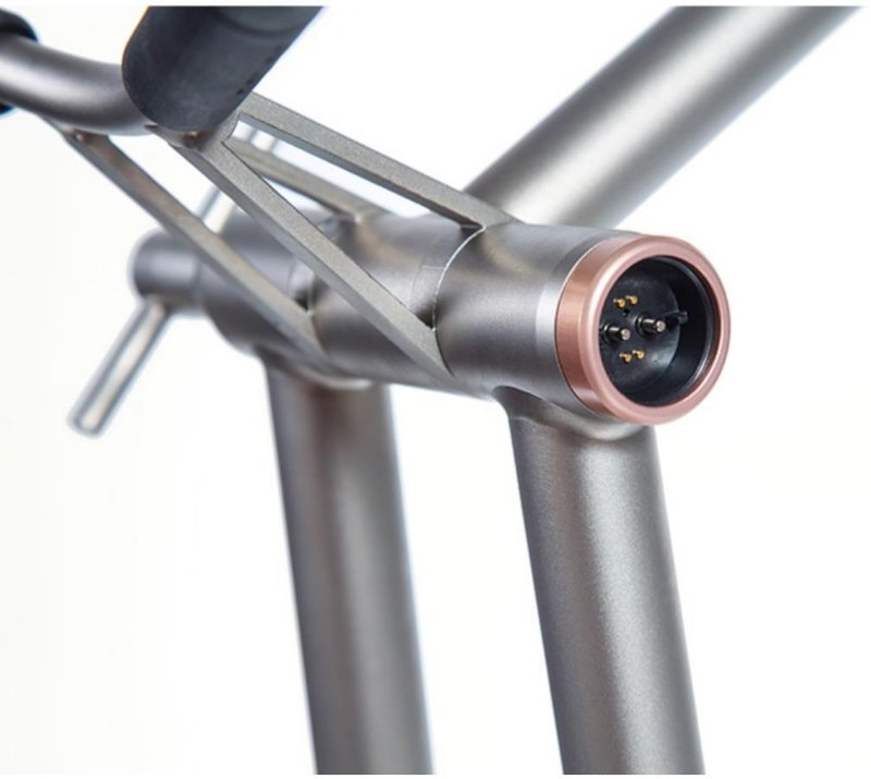 JuCad Phantom Titan Rosé eX 3.0 electric trolley, rose