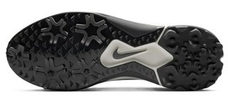 Nike Pegasus 1 men's golf shoes, black/sail/white