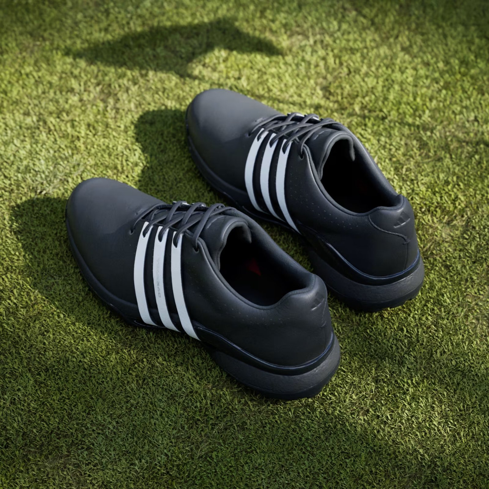 Adidas Tour360 24 men's golf shoes, core black/cloud white/core black