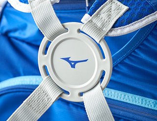 Mizuno BR-D1 stand bag, sand
