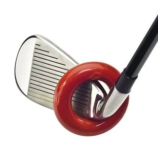 Longridge Swing Ring training aid