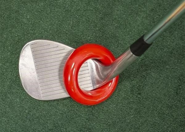 Longridge Swing Ring training aid