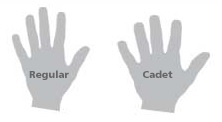 Titleist Cadet vs Regular glove size comparison